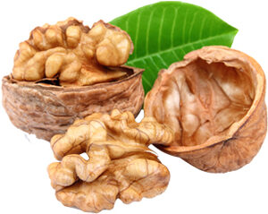 walnuts